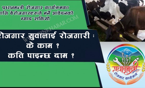 बेरोजगारलाई रोजगारी : के काम ? कति पाइन्छ दाम ?