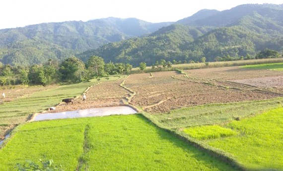 दश लाख हेक्टर क्षेत्रफलमा मात्रै सिंचाई सुविधा