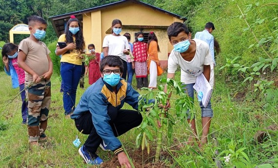 बाल क्लबको अगुवाइमा बिद्यालयमा बृक्षरोपण