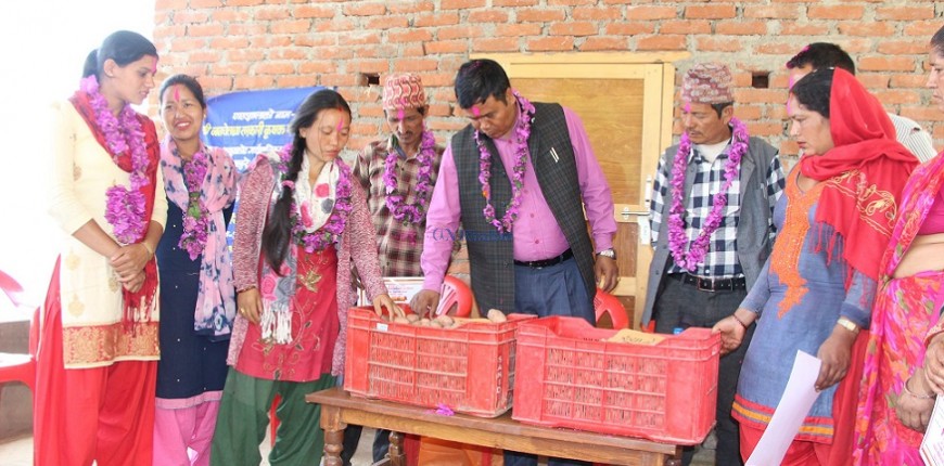 आफ्नै बारीमा उन्नत कृषि प्रविधिको अध्ययन गर्दै कपुरकोटका किसान