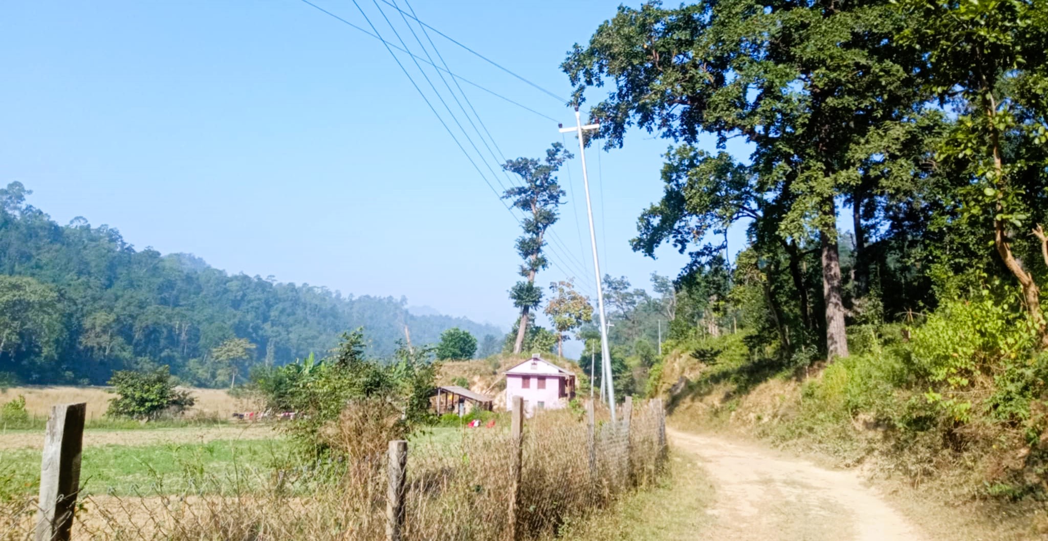 अन्तैबाट दाङको ‘मलइ’ फेरि ‘मलइ’ छोड्ने बढ्दै 